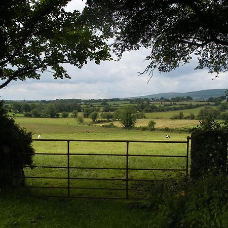 Brandon View House B&B Graiguenamanagh ภายนอก รูปภาพ