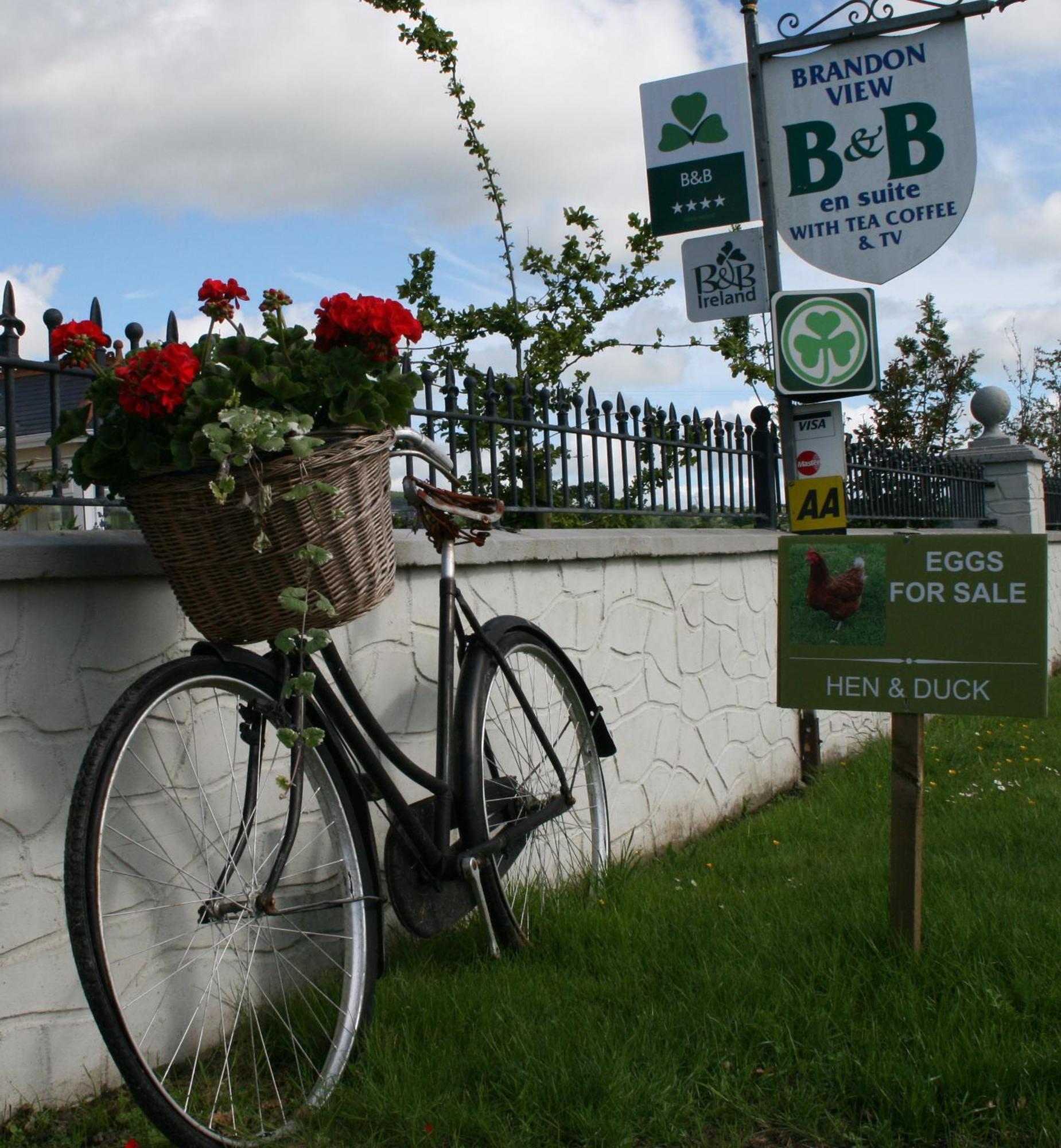 Brandon View House B&B Graiguenamanagh ภายนอก รูปภาพ