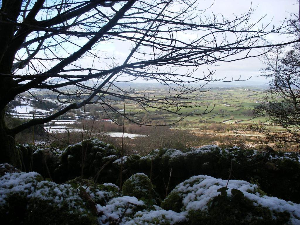 Brandon View House B&B Graiguenamanagh ภายนอก รูปภาพ