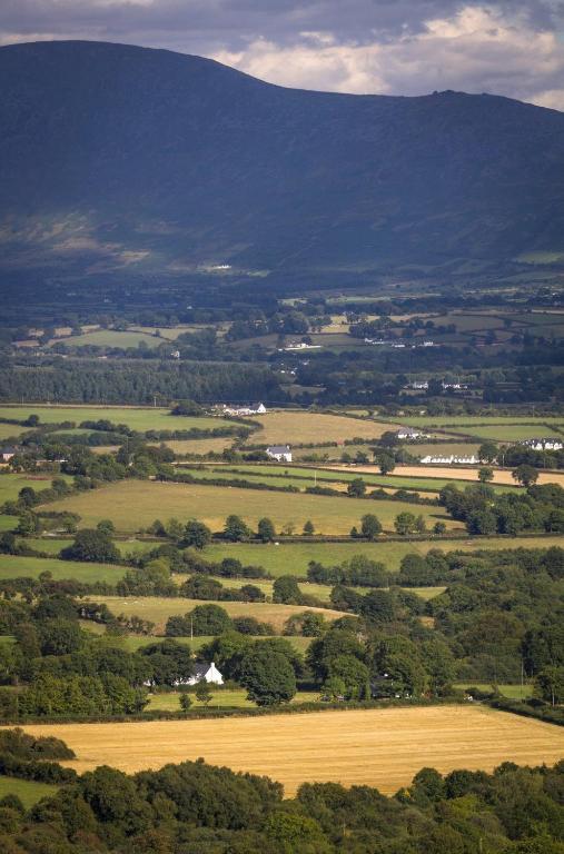Brandon View House B&B Graiguenamanagh ภายนอก รูปภาพ