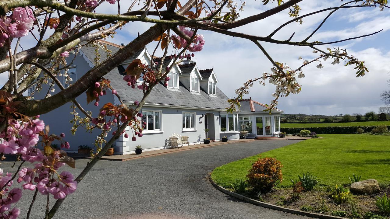 Brandon View House B&B Graiguenamanagh ภายนอก รูปภาพ