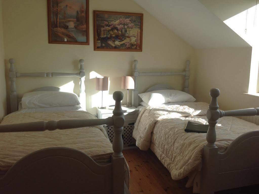 Brandon View House B&B Graiguenamanagh ภายนอก รูปภาพ