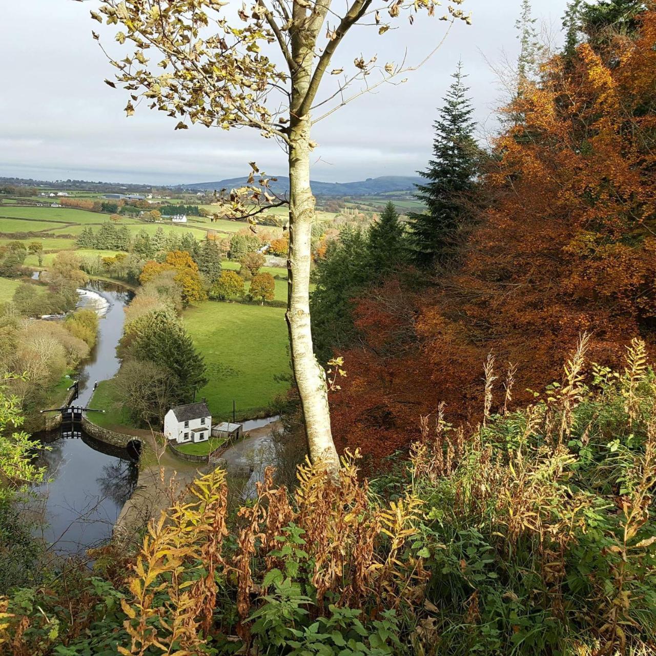 Brandon View House B&B Graiguenamanagh ภายนอก รูปภาพ